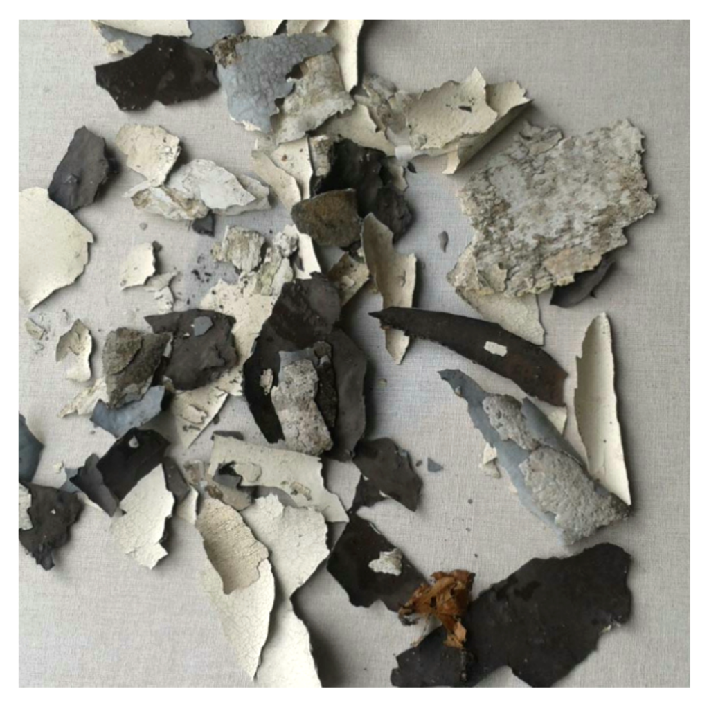 white scraps of paint and plaster, removed from former magdalene laundry site